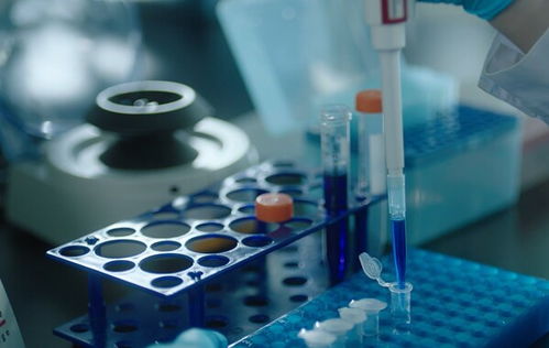 生物醫(yī)藥產業(yè)跨越式發(fā)展 泰諾麥博以多重創(chuàng)新發(fā)展新質生產力