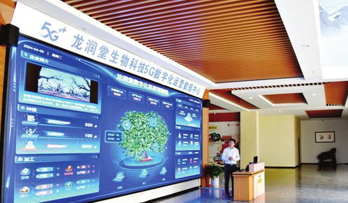 創(chuàng)新轉(zhuǎn)型乘風起數(shù)智新生態(tài)浪潮奔涌